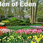 Garden Of Eden