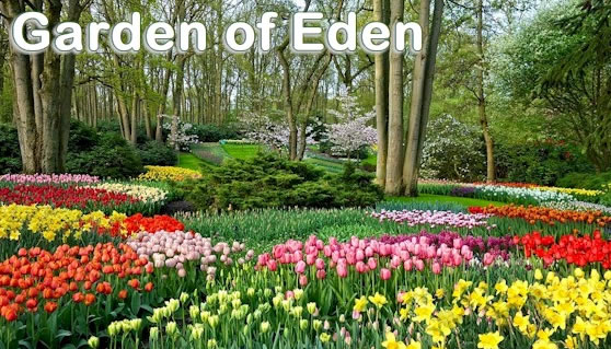 Garden Of Eden